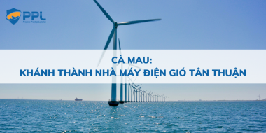 Cà Mau - Khánh thành Nhà máy điện gió Tân Thuận